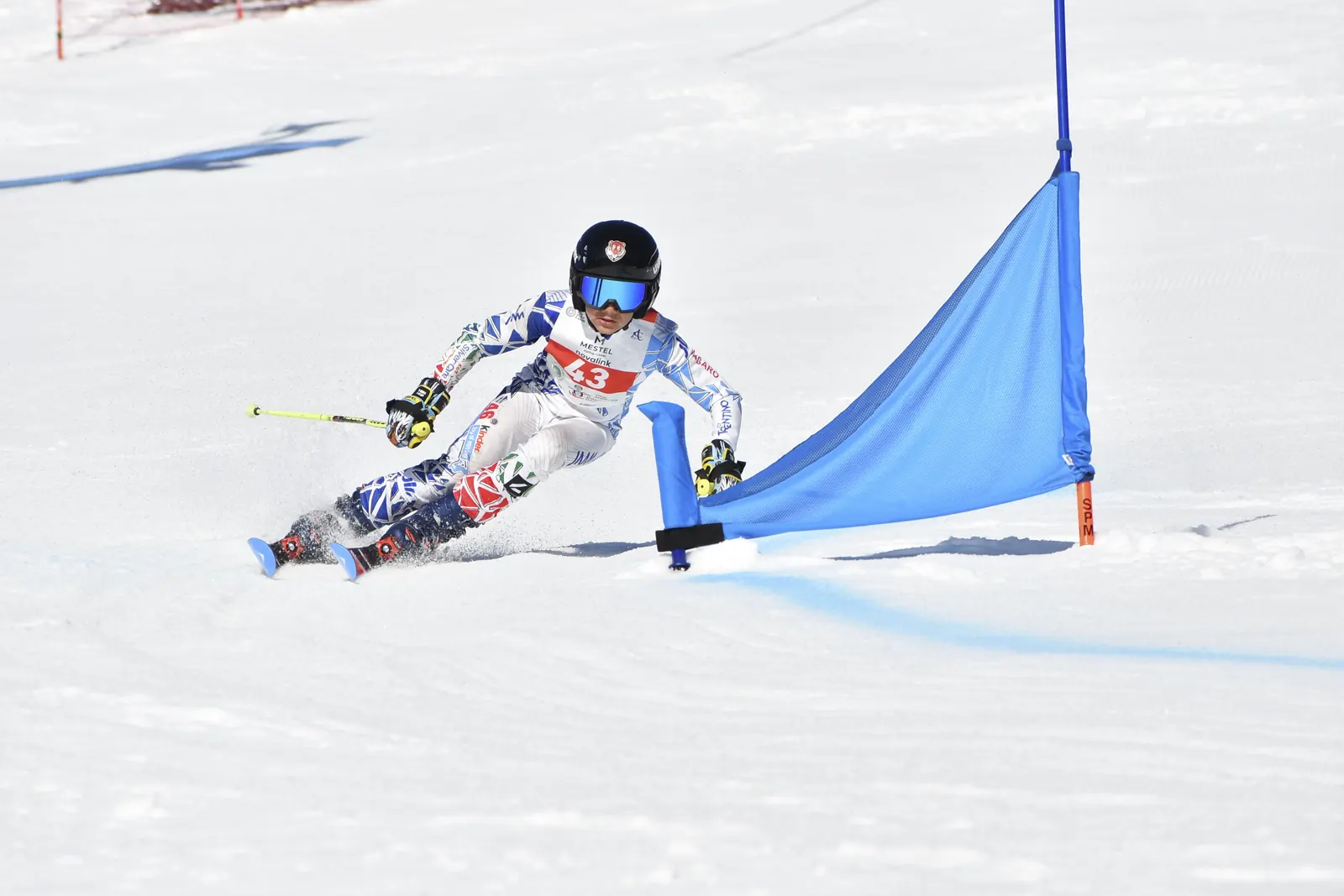 In – Volare Team